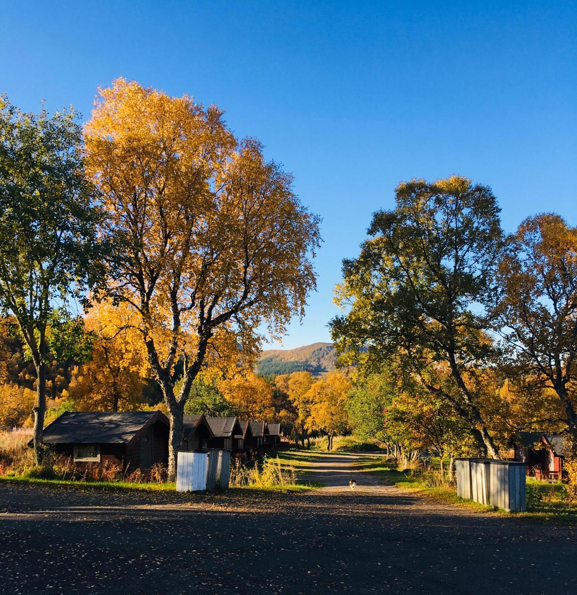 Sortland Camping Og Motell As المظهر الخارجي الصورة