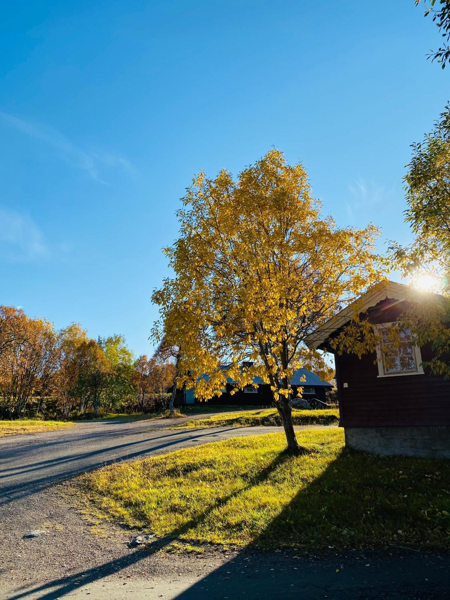Sortland Camping Og Motell As المظهر الخارجي الصورة
