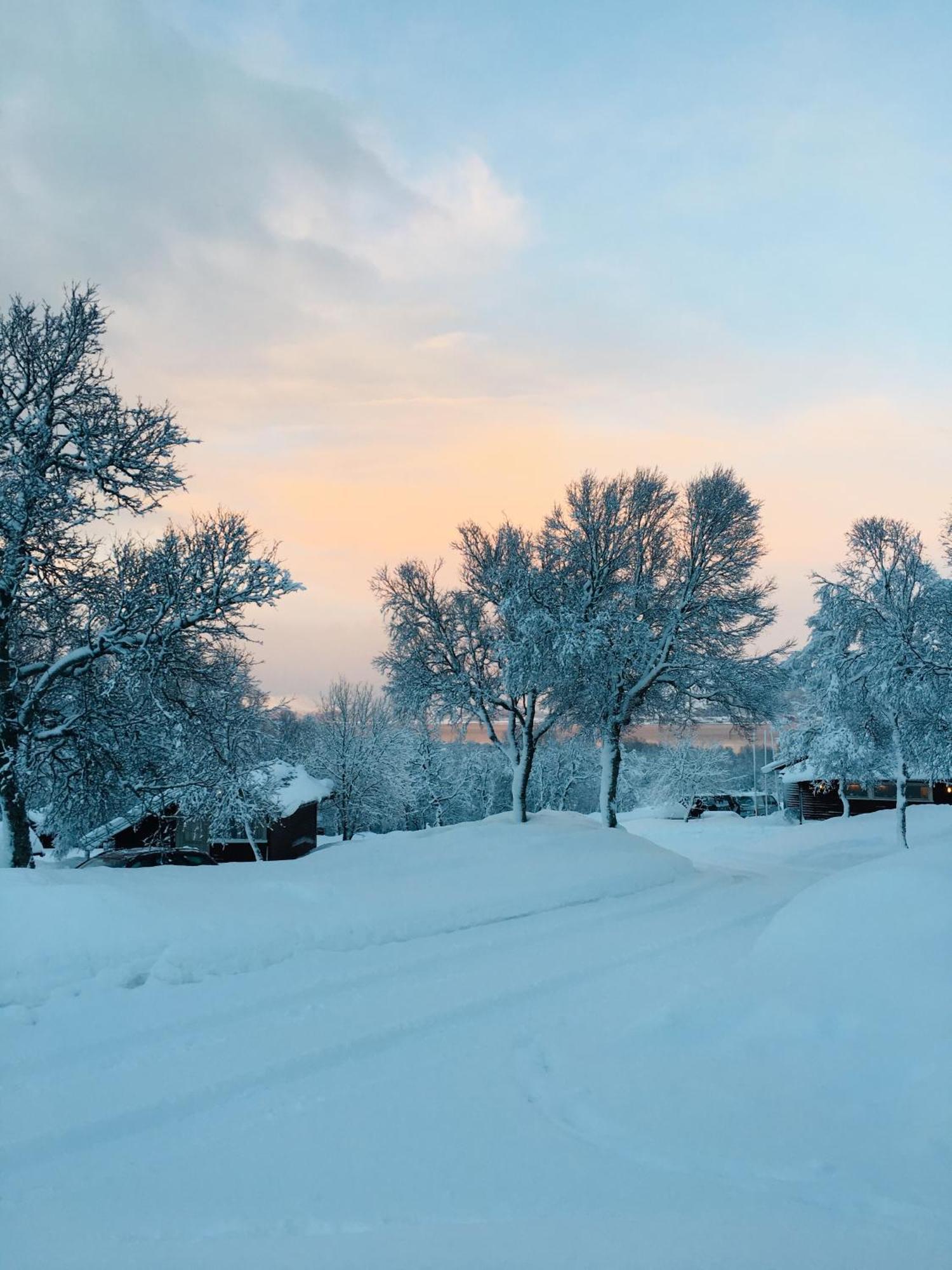 Sortland Camping Og Motell As المظهر الخارجي الصورة