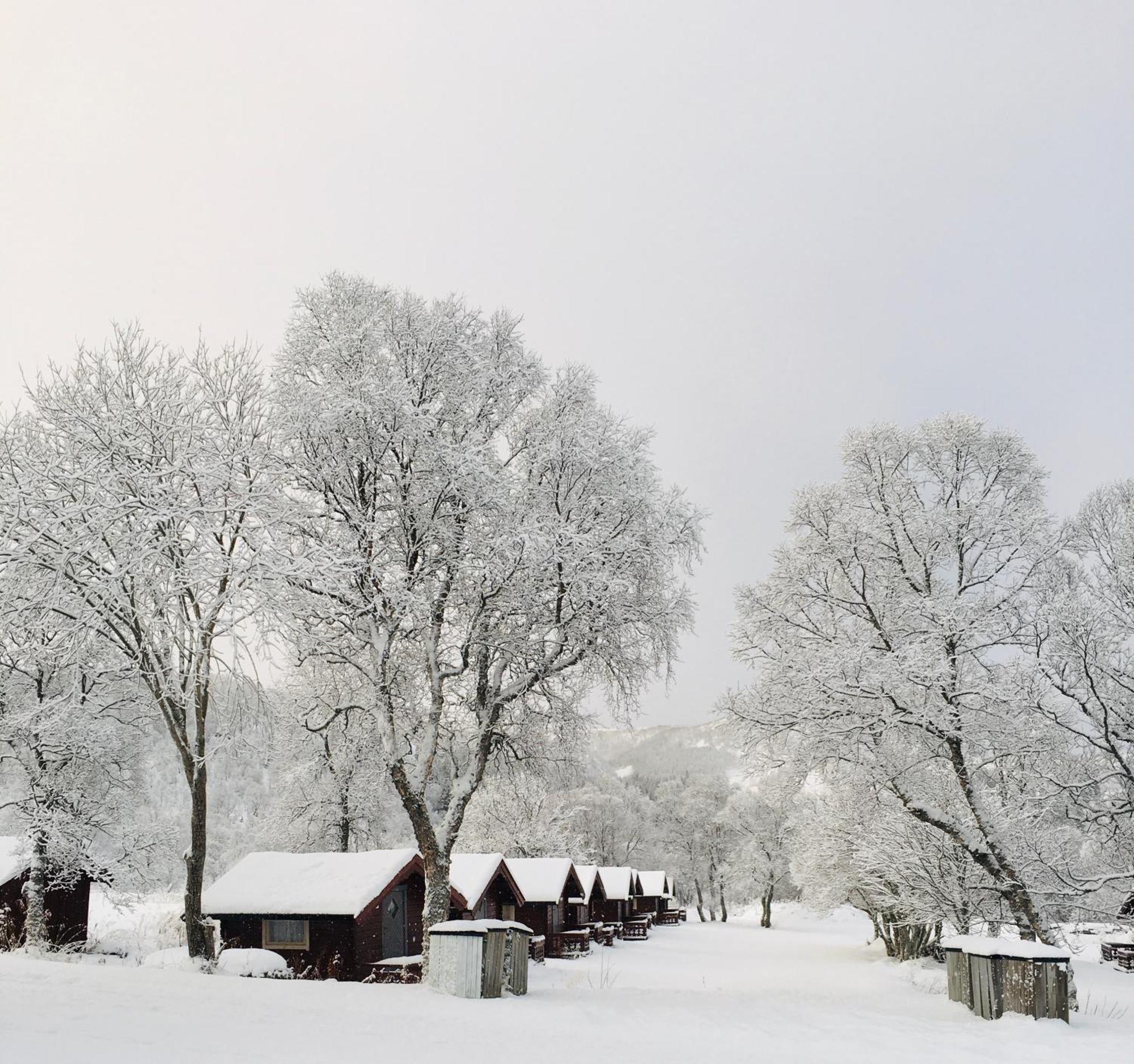 Sortland Camping Og Motell As المظهر الخارجي الصورة