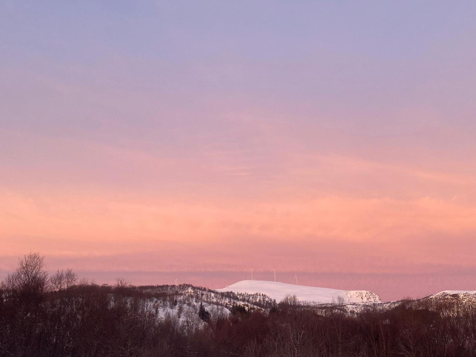 Sortland Camping Og Motell As المظهر الخارجي الصورة