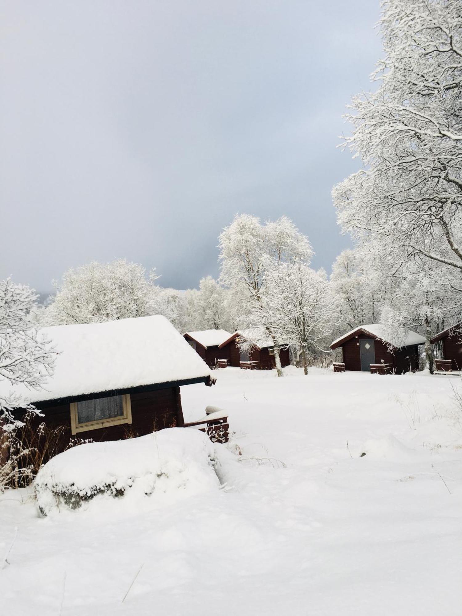 Sortland Camping Og Motell As المظهر الخارجي الصورة