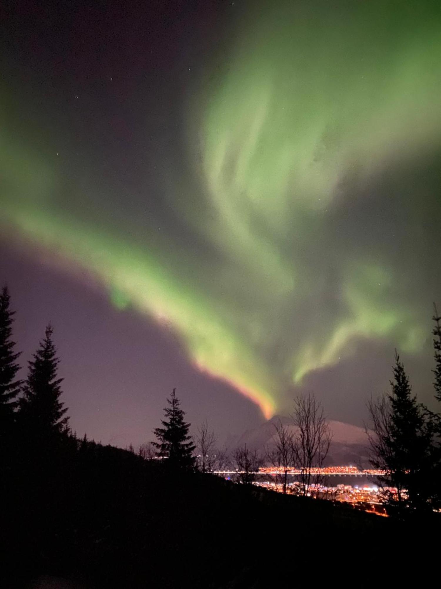 Sortland Camping Og Motell As المظهر الخارجي الصورة