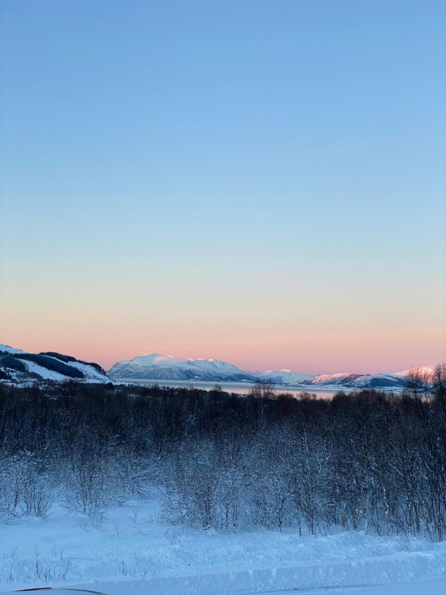 Sortland Camping Og Motell As المظهر الخارجي الصورة