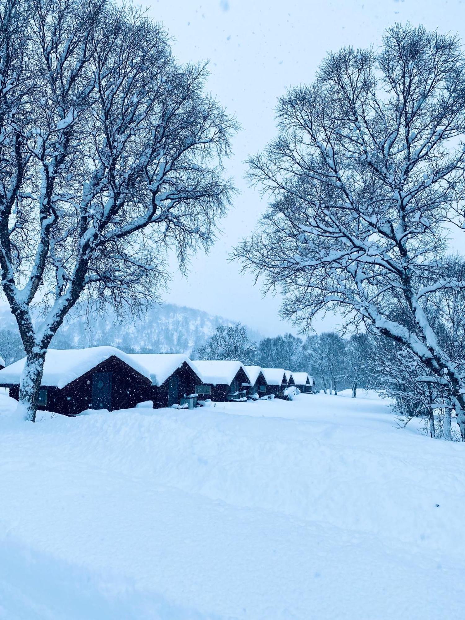 Sortland Camping Og Motell As المظهر الخارجي الصورة