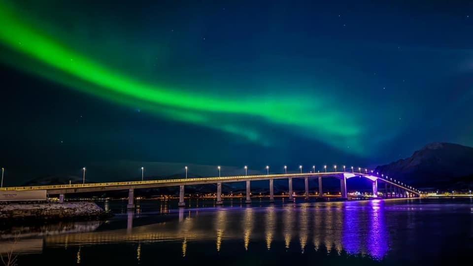 Sortland Camping Og Motell As المظهر الخارجي الصورة